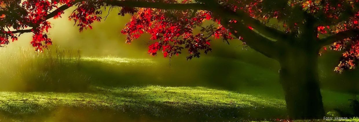 parallax background